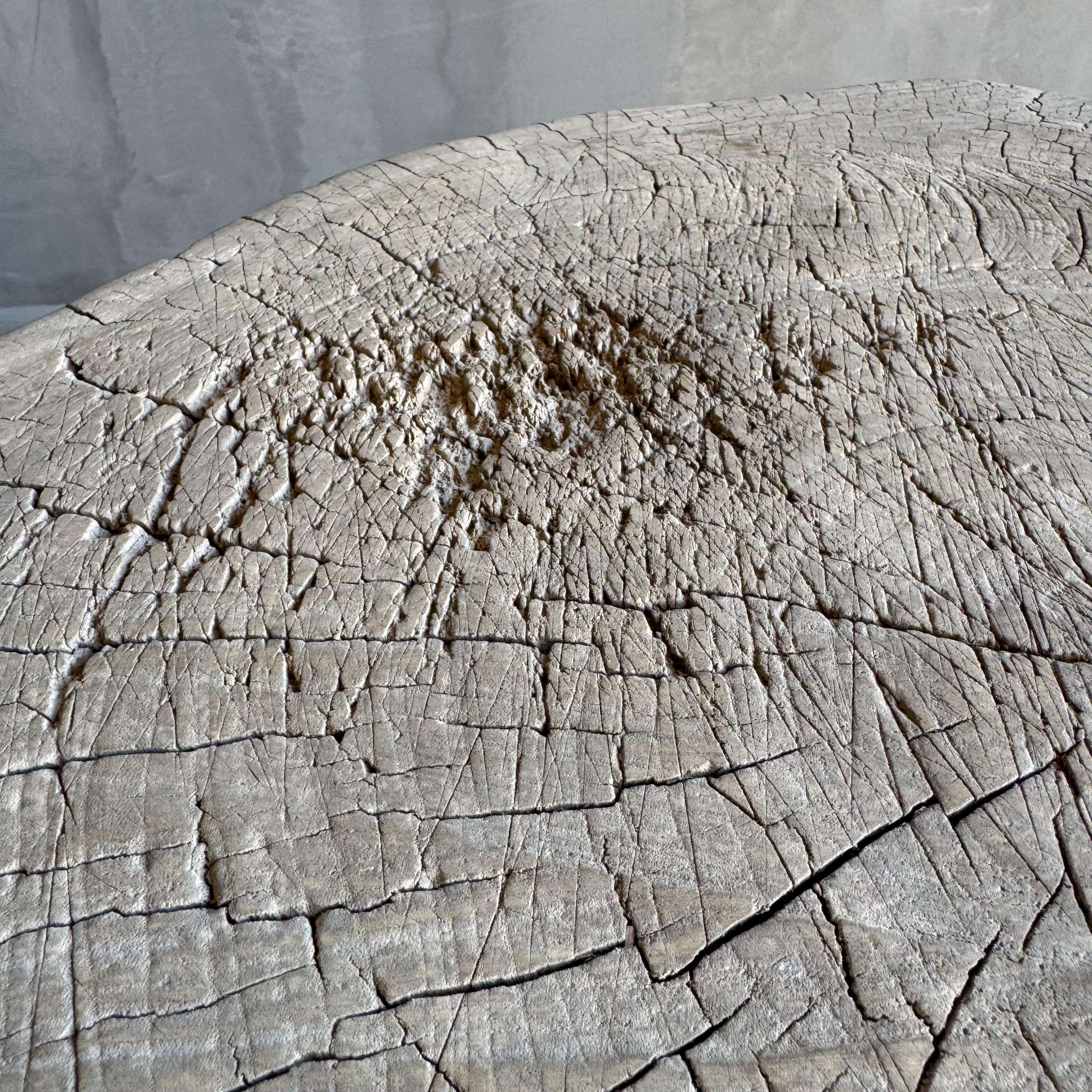 Organic Wabi Sabi Slice Accent Table or Stool 1