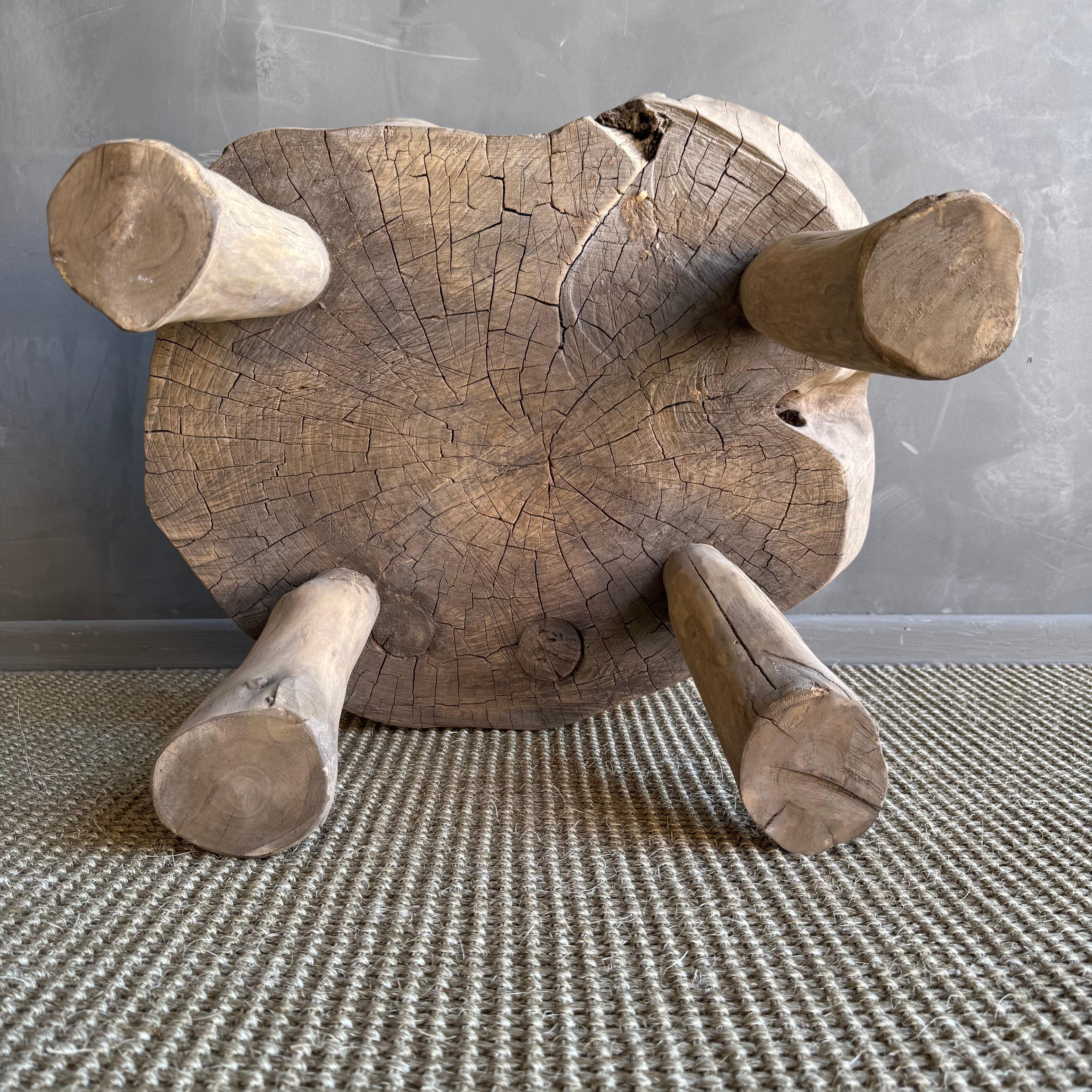 Organic Wabi Sabi Slice Accent Table or Stool 2