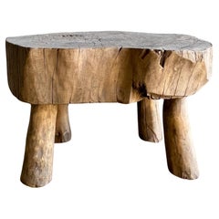 Organic Wabi Sabi Slice Accent Table or Stool
