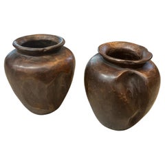 Set di 2 vasi in legno biologico