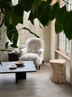 Organically Curved Wooden Trunk in Fan Shape