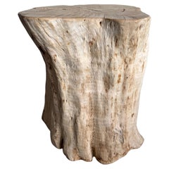 Organically Curved Wooden Trunk in Fan Shape