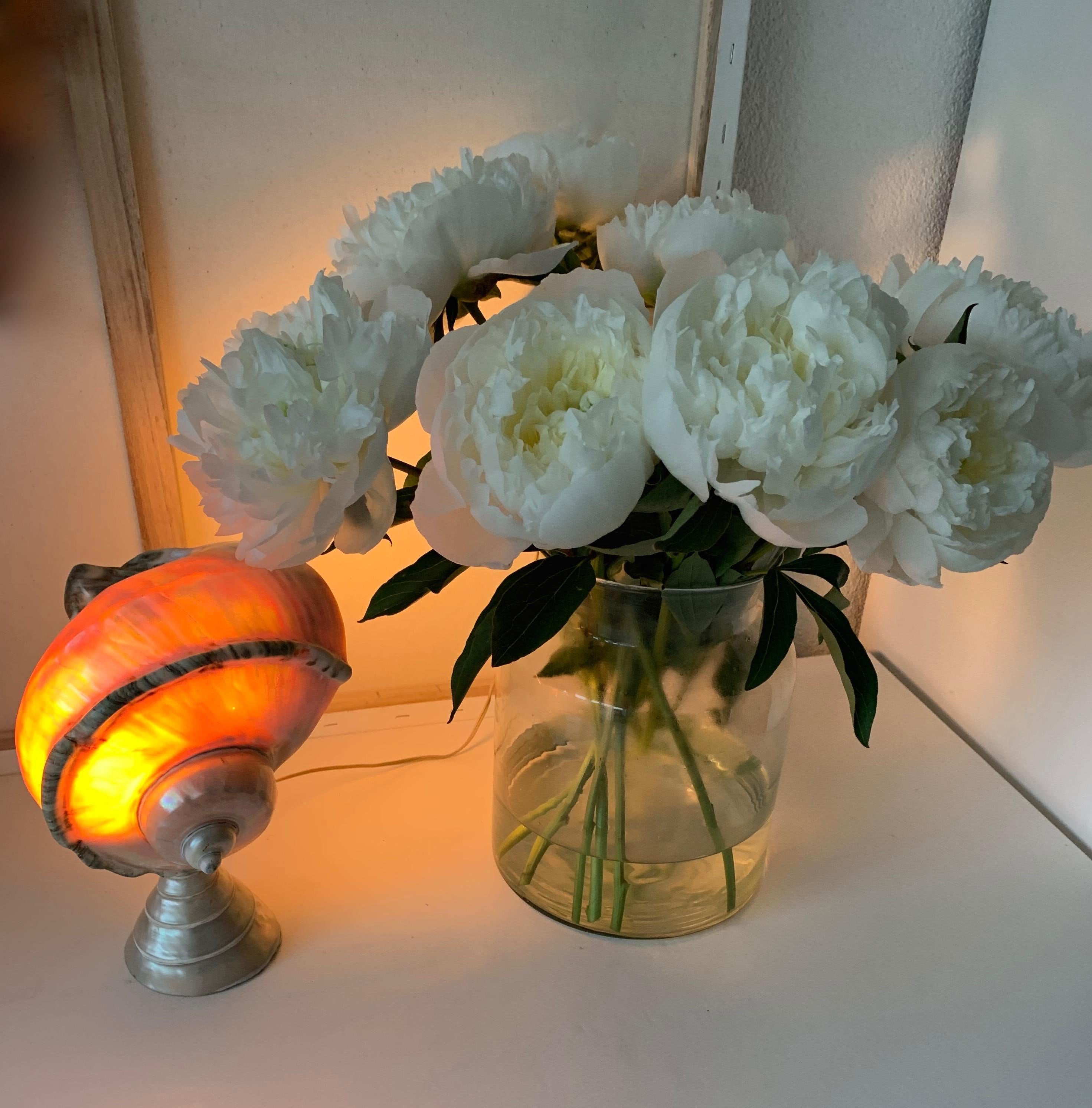 Organically Stylish Midcentury Era Mother Nature Table Lamp / Desk lamp 3