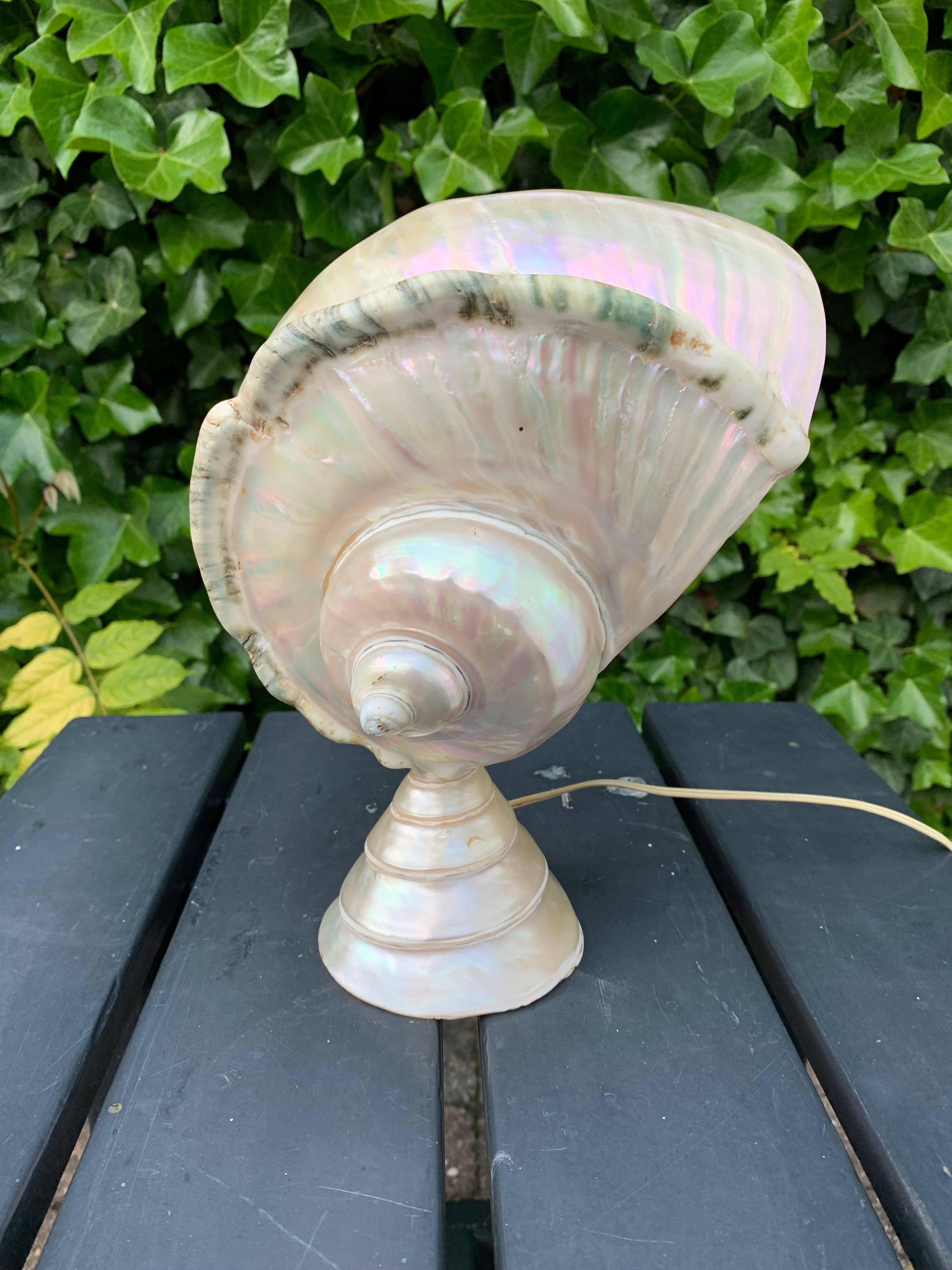 Artistic and beautifully handcrafted table lamp.

If you are a sea life or sea diving enthousiast or if you are an interior designer decorating a home or business with a maritime theme then this marvellous table lamp could be ideal. The perfect