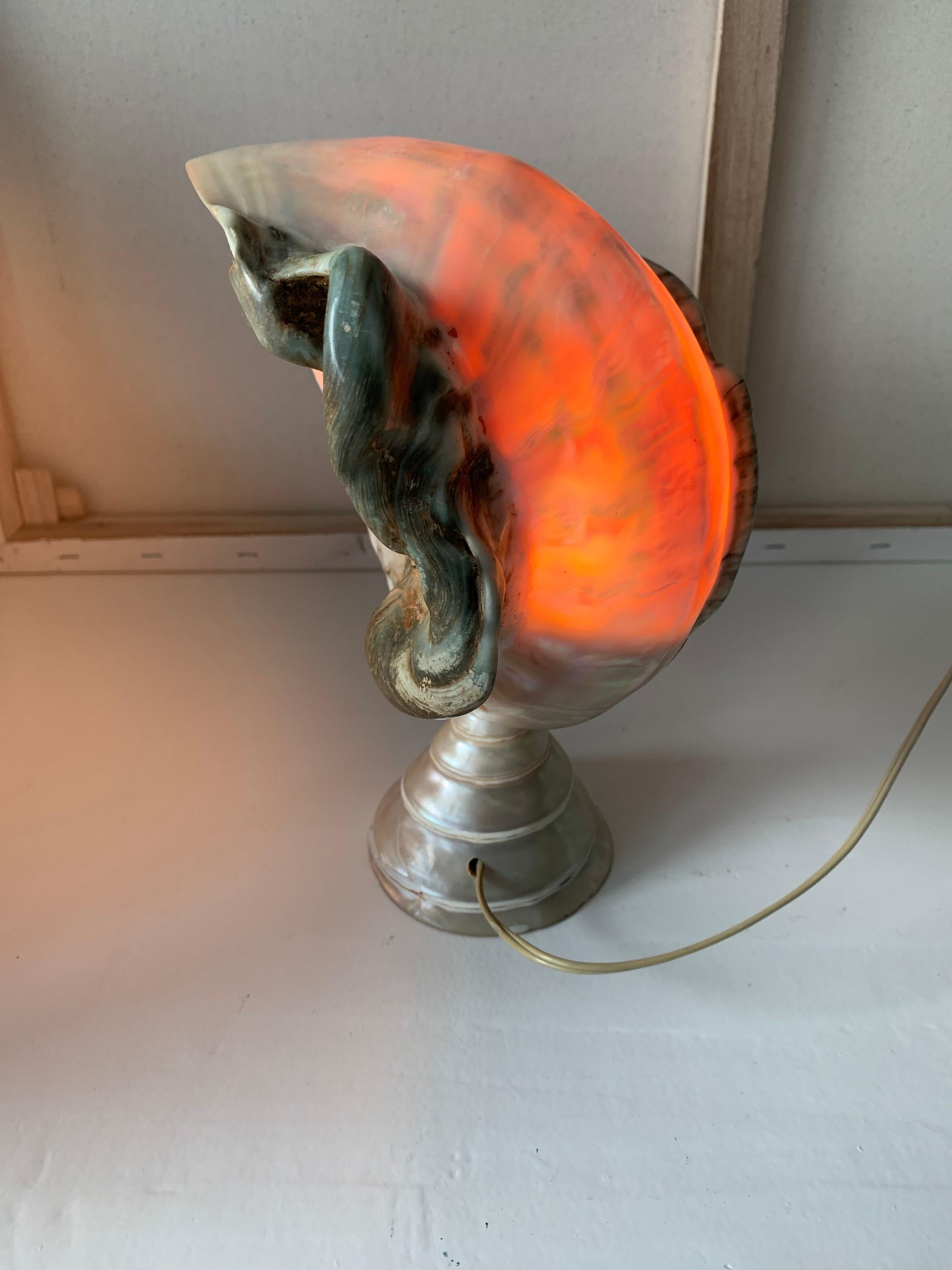 20th Century Organically Stylish Midcentury Era Mother Nature Table Lamp / Desk lamp