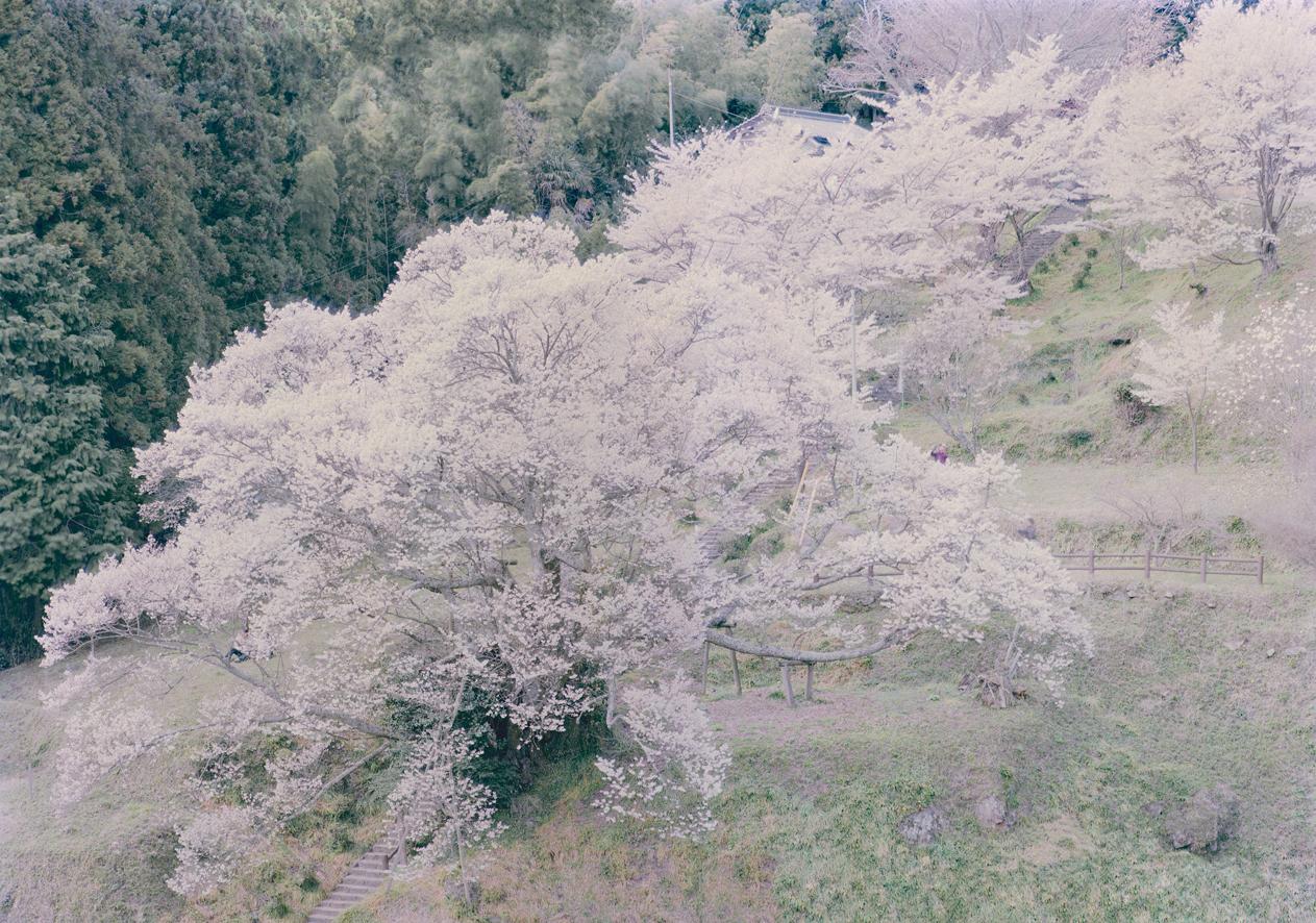 Ori Gersht Landscape Photograph - Against The Tide, 1000 Years