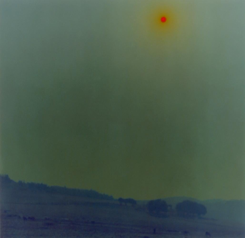 Ori Gersht Landscape Photograph - Blaze, Untitled 1