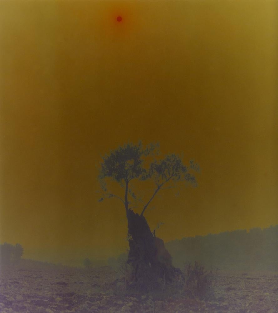 Ori Gersht Landscape Photograph - Blaze, Untitled 2