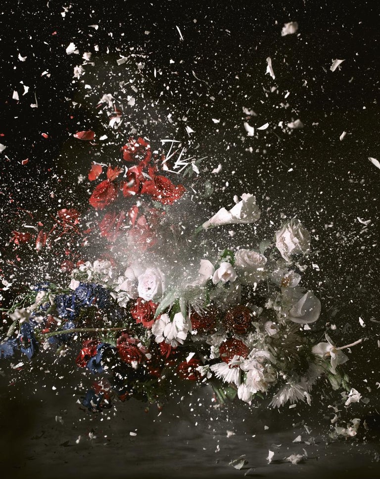 Ori Gersht Blow Up, Untitled 17 For Sale at 1stDibs