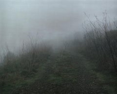 Ruta F