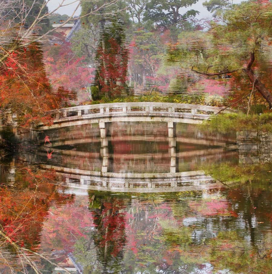 Floating Bridge