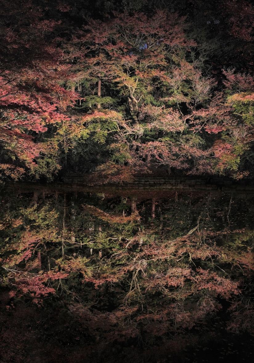 Arbre flottant