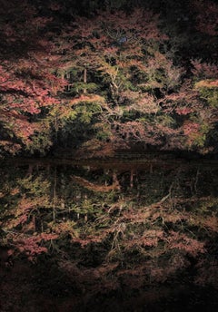 Arbre flottant