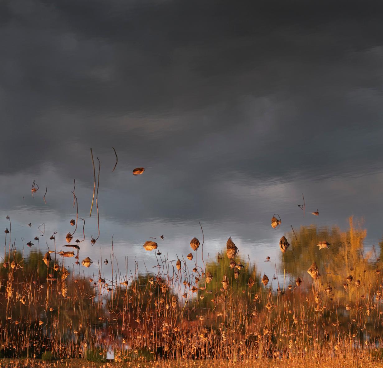 Ori Gersht Abstract Photograph - Hanging Sky 01