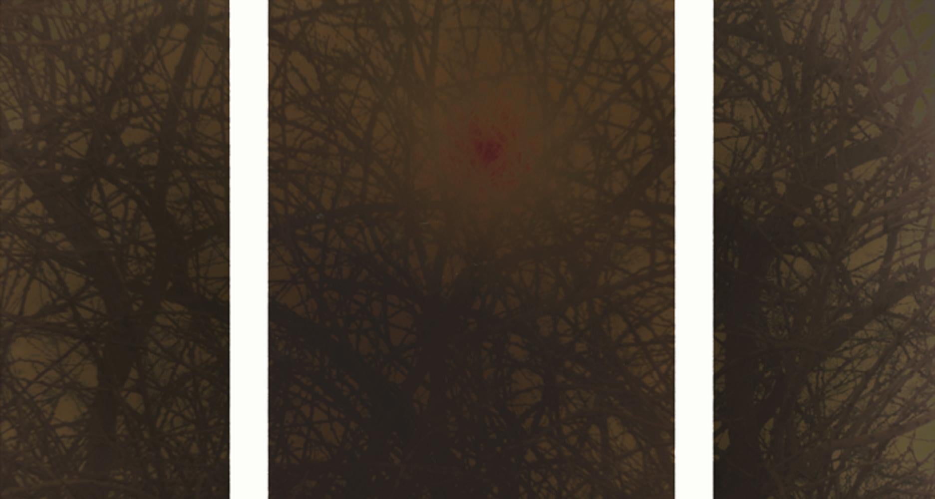 Ori Gersht Landscape Photograph - Haze (Triptych)