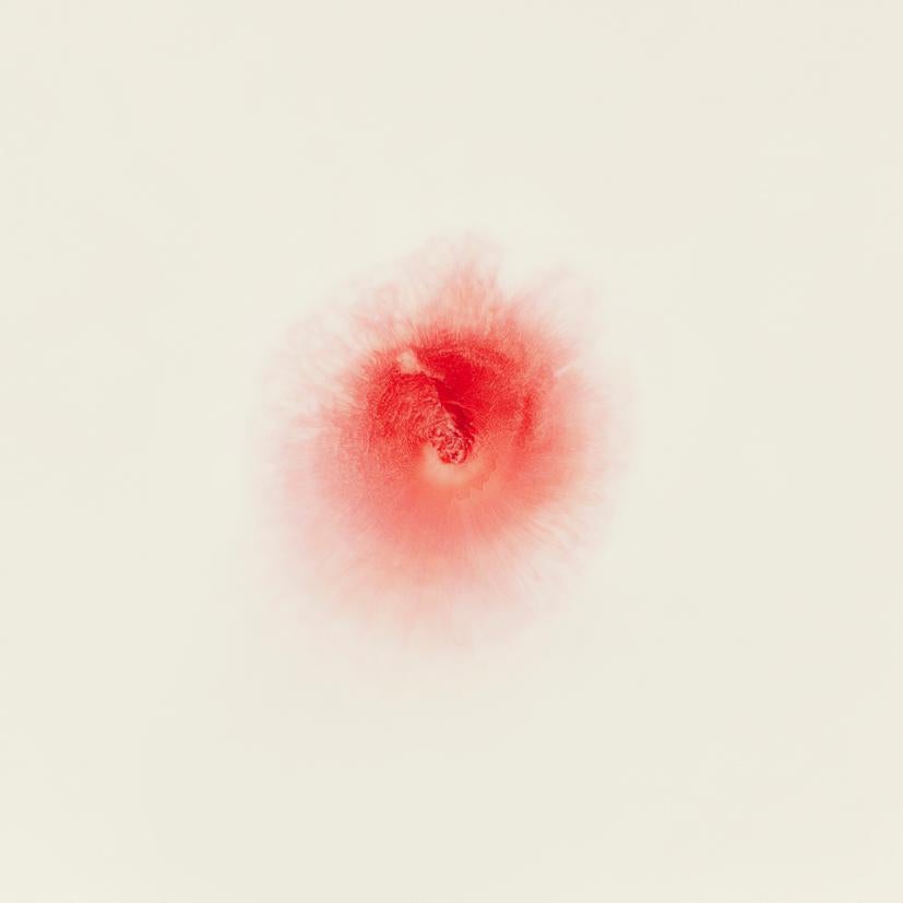 Color Photograph de Ori Gersht - Quiéreme, no me quieras, sin título 04