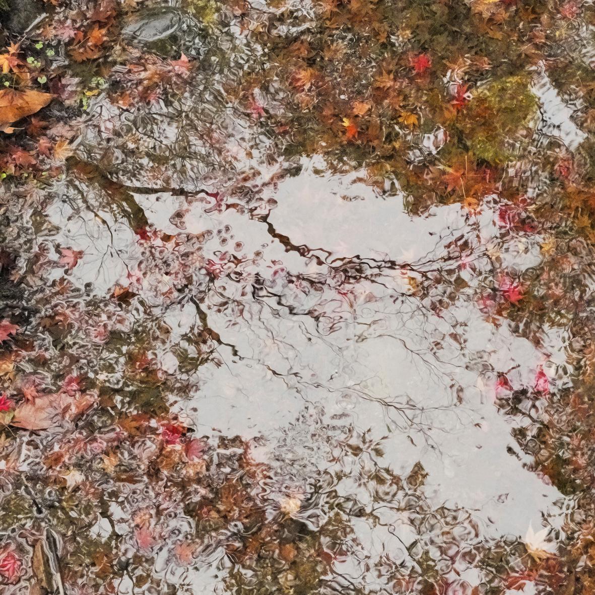 Ori Gersht Landscape Photograph - Melting World 02