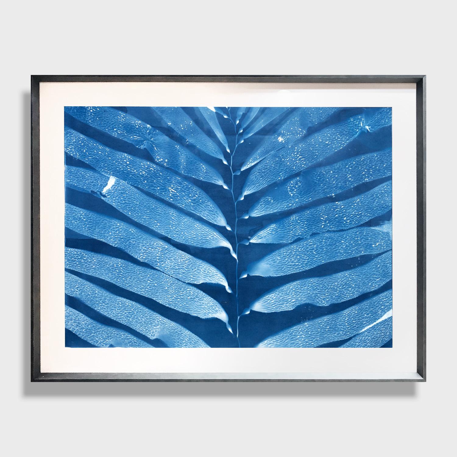 This is a one of a kind original color cyanotype color photograph by San Diego artist, Oriana Poindexter. Its dimensions are 56