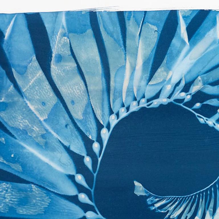This is an alternative process photographic print cyanotype by California artist, Oriana Poindexter. Its dimensions are 30