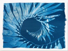 Nature Cyanotype, "Giant Kelp Study 42, Point La Jolla"