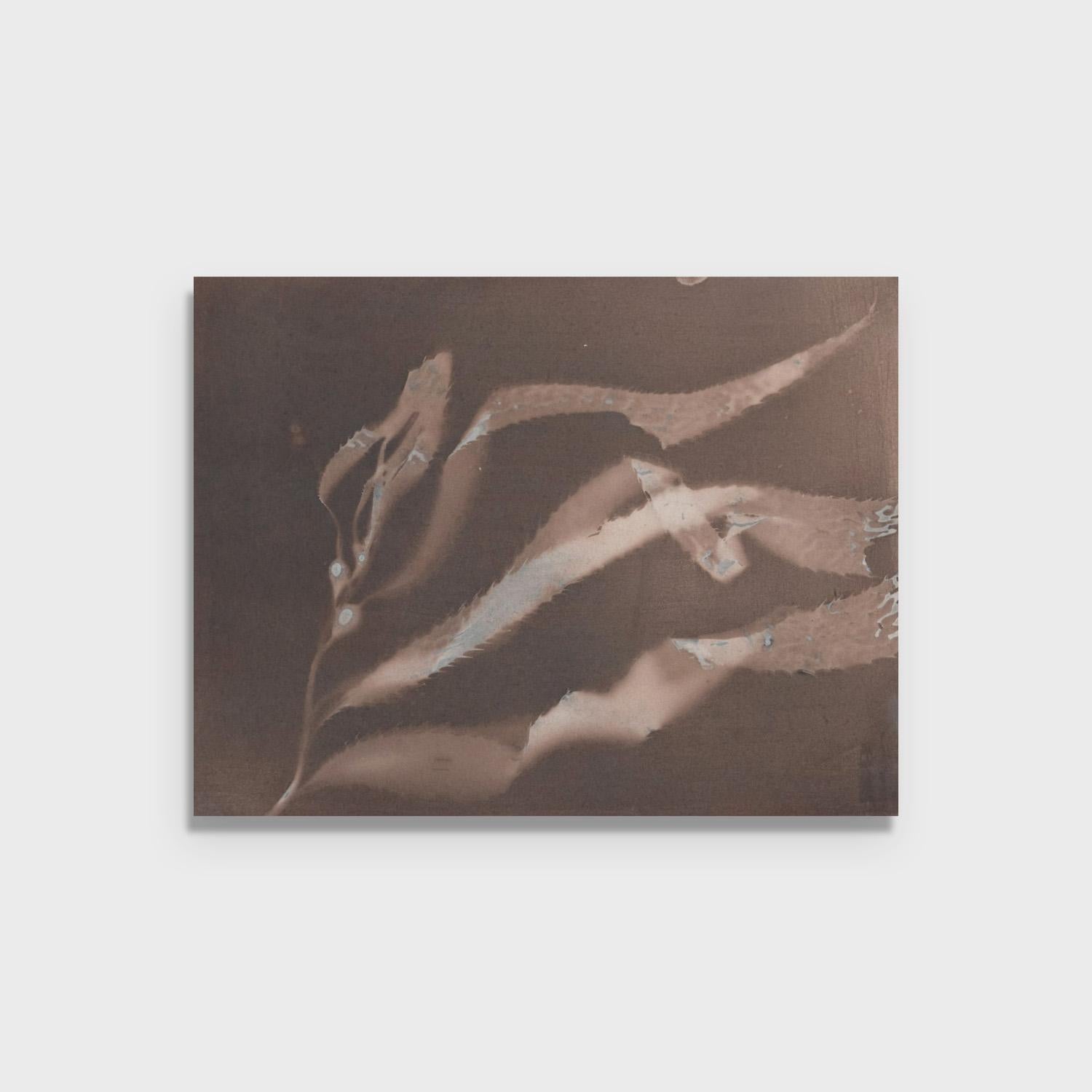 Fotodruck, „Giant Kelp Study 47“, Fotodruck (Abstrakt), Photograph, von Oriana Poindexter