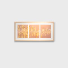 Impresión fotográfica tríptica, "Estudio de la boa de plumas 9"