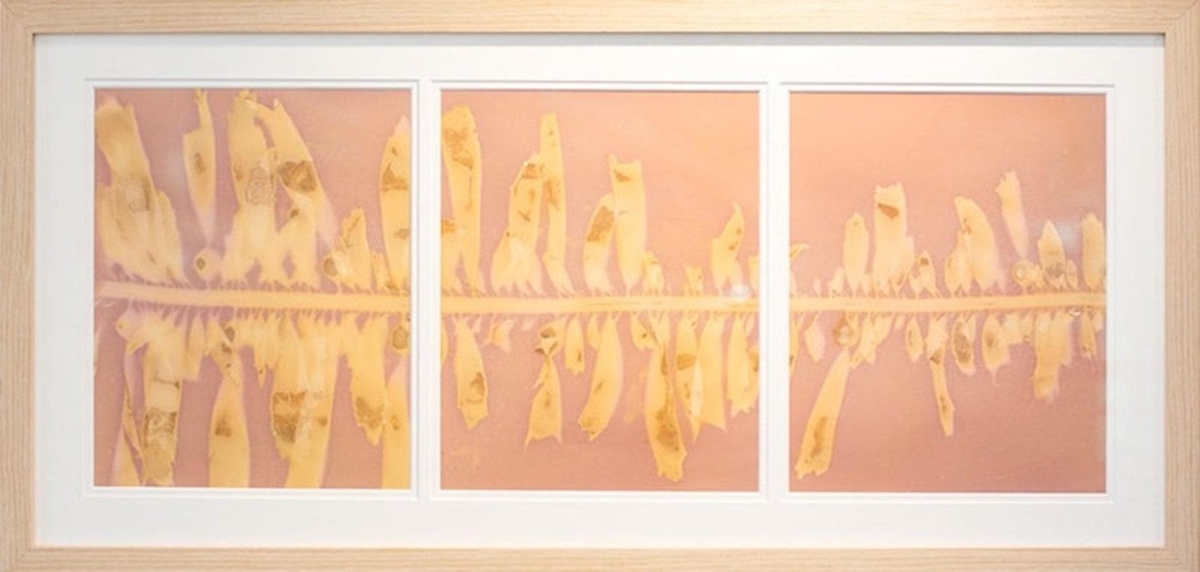 This is a Silver Gelatin Photographic print by California artist, Oriana Poindexter. Its dimensions are 28" x 14". It is framed as pictured. A certificate of authenticity will follow delivery. 

Poindexter’s photographs and cyanotypes have been