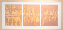 Triptych Photographic Print, "Feather Boa Study 9"