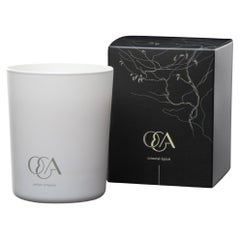 Orienal Épice Interior Candle with Vanilla and Cinnamon Scent