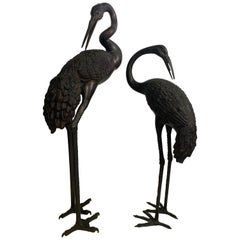 Oriental Cranes