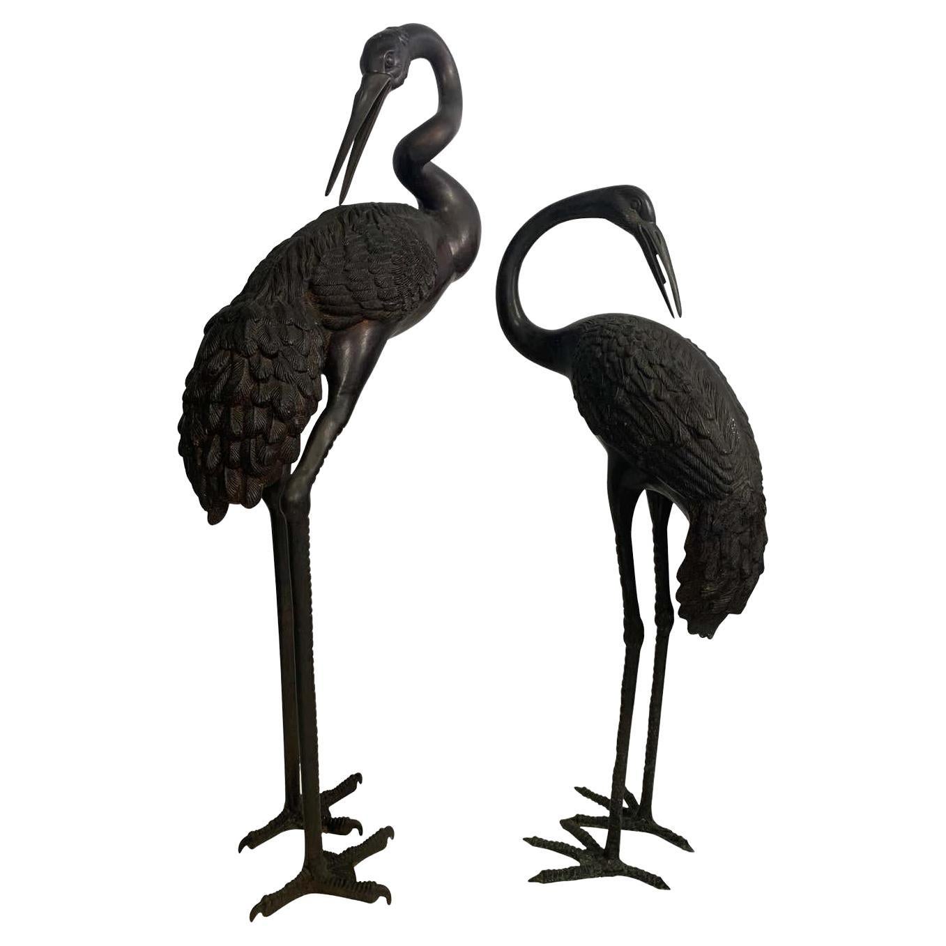 Oriental Cranes