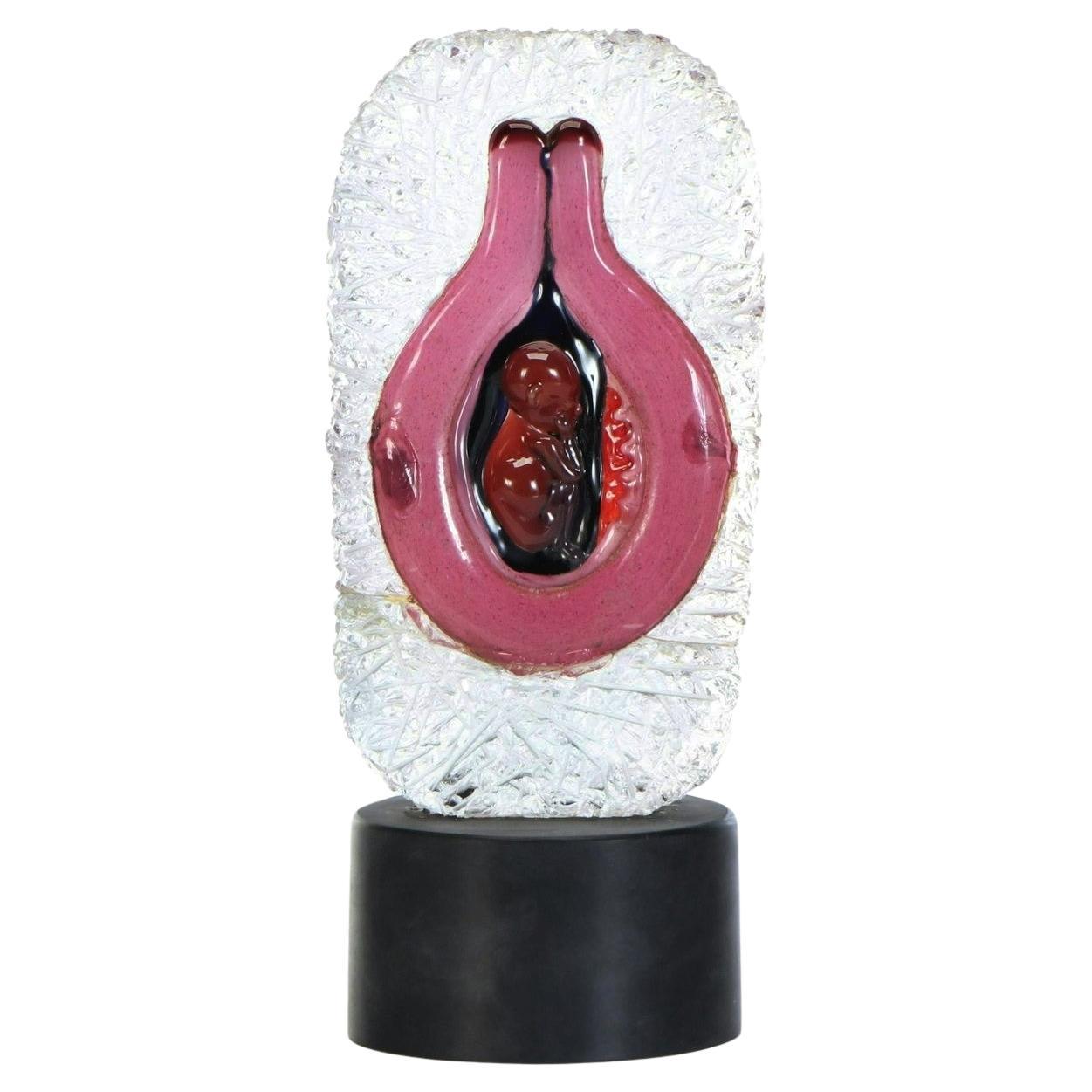 "Origin of Life" – Murano Glass Fetus Sculpture by Pino Signoretto, Italy 1990's en vente