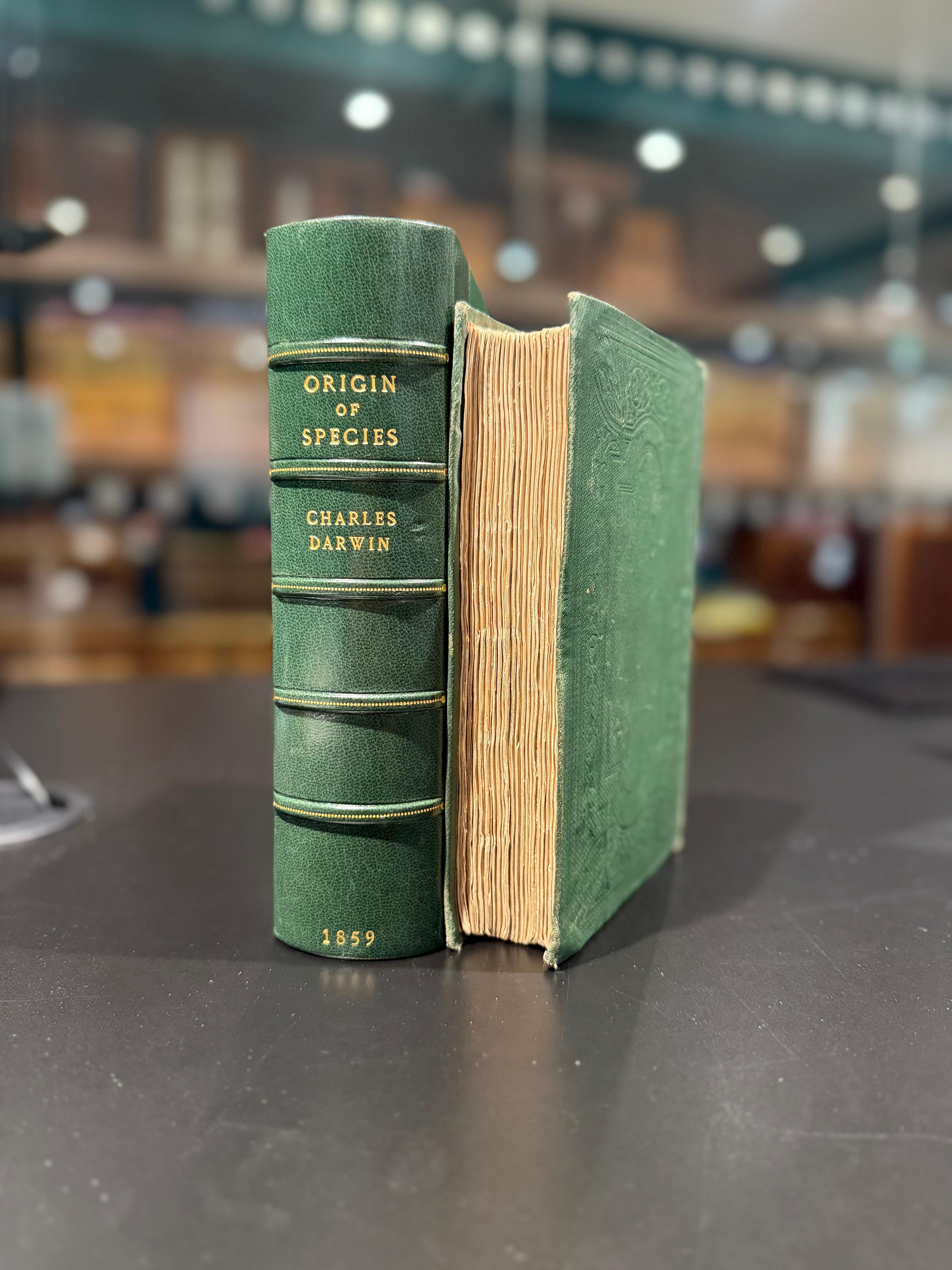 Papier L'origine des espèces  1859, première édition, premier tirage, SIGNÉ en vente