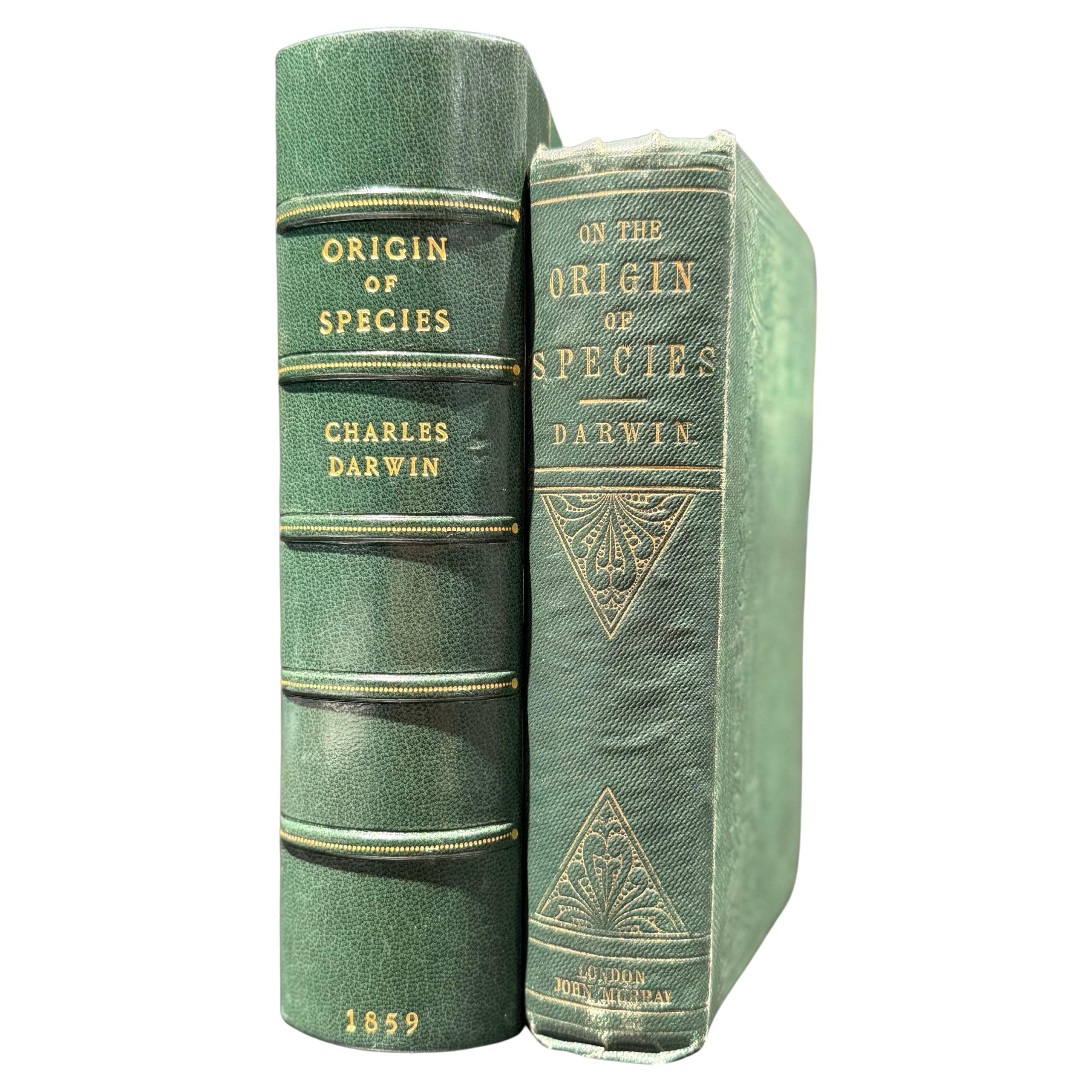 L'origine des espèces  1859, première édition, premier tirage, SIGNÉ en vente