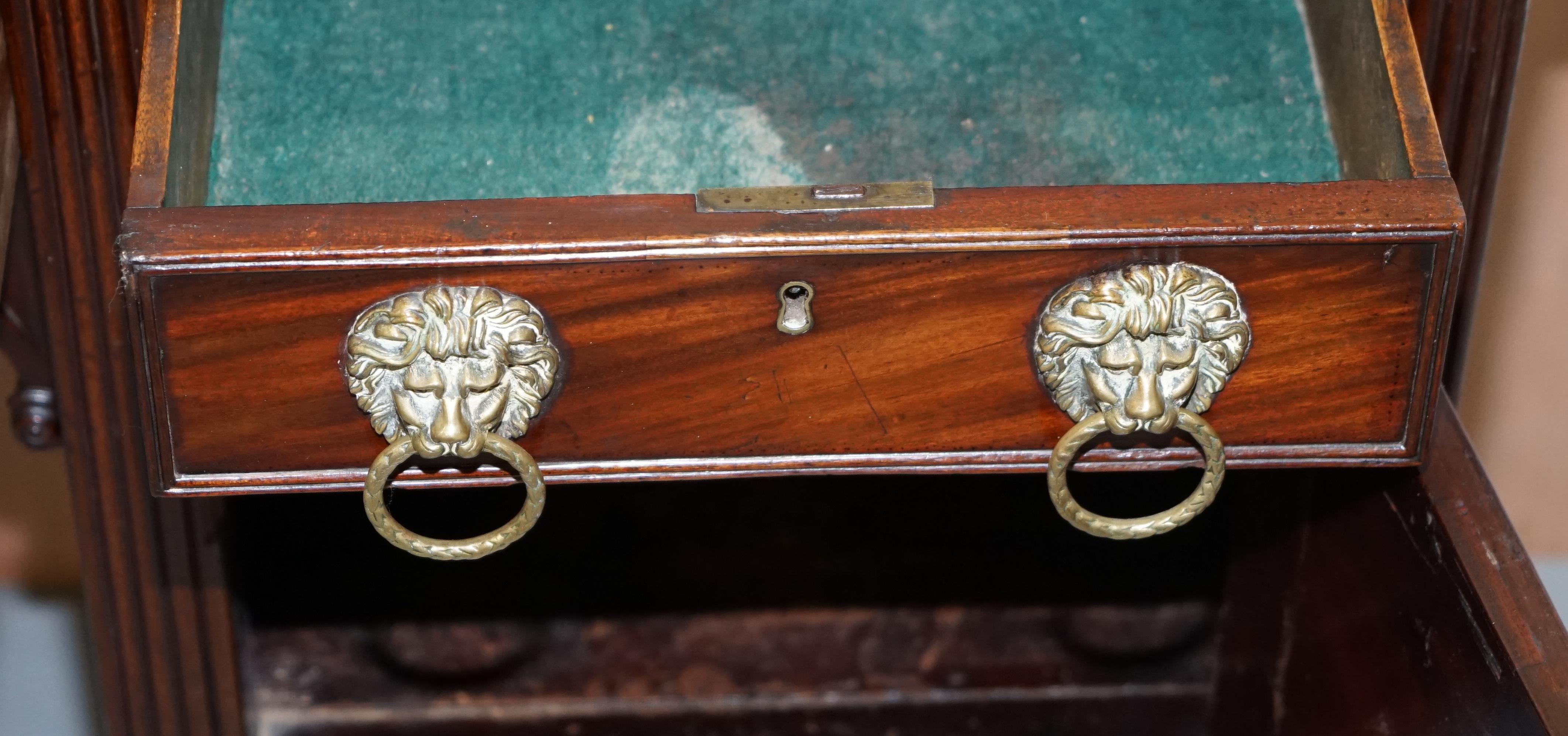 Original 1790 Georgian Irish Hardwood Sideboard with Brass Gallery Lion Handles For Sale 13