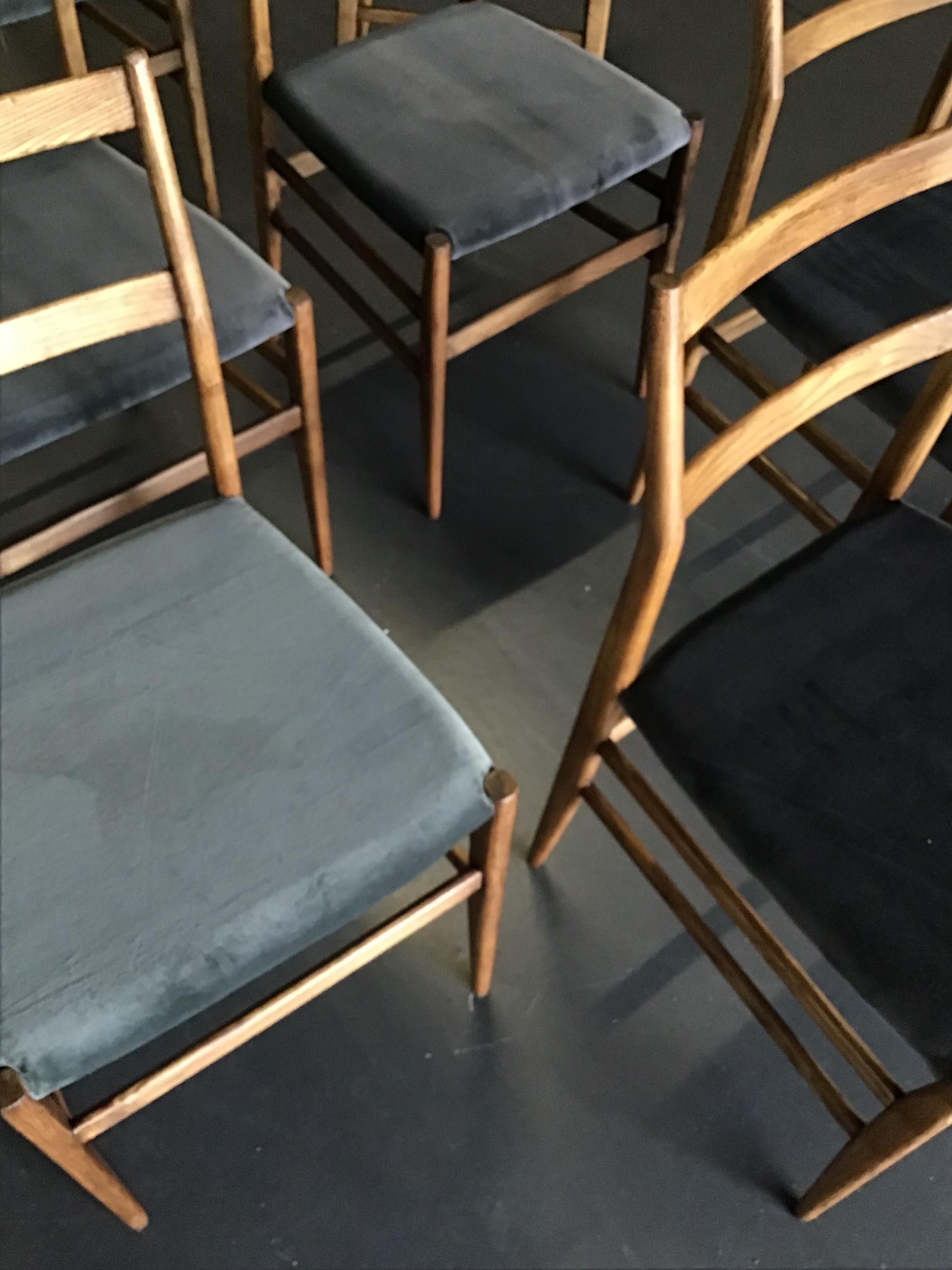 Mid-Century Modern Chaises de salle à manger Gio Ponti Leggera originales des années 1950 par Cassina. Ensemble de 10 pièces  en vente