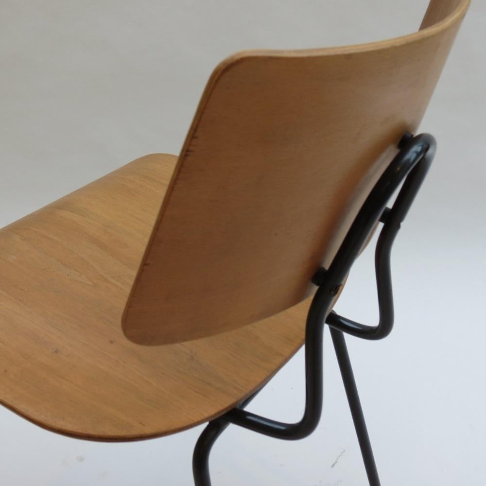 Original 1950s Robin Day Royal Festival Hall Chair By Hille Model No 661D 4