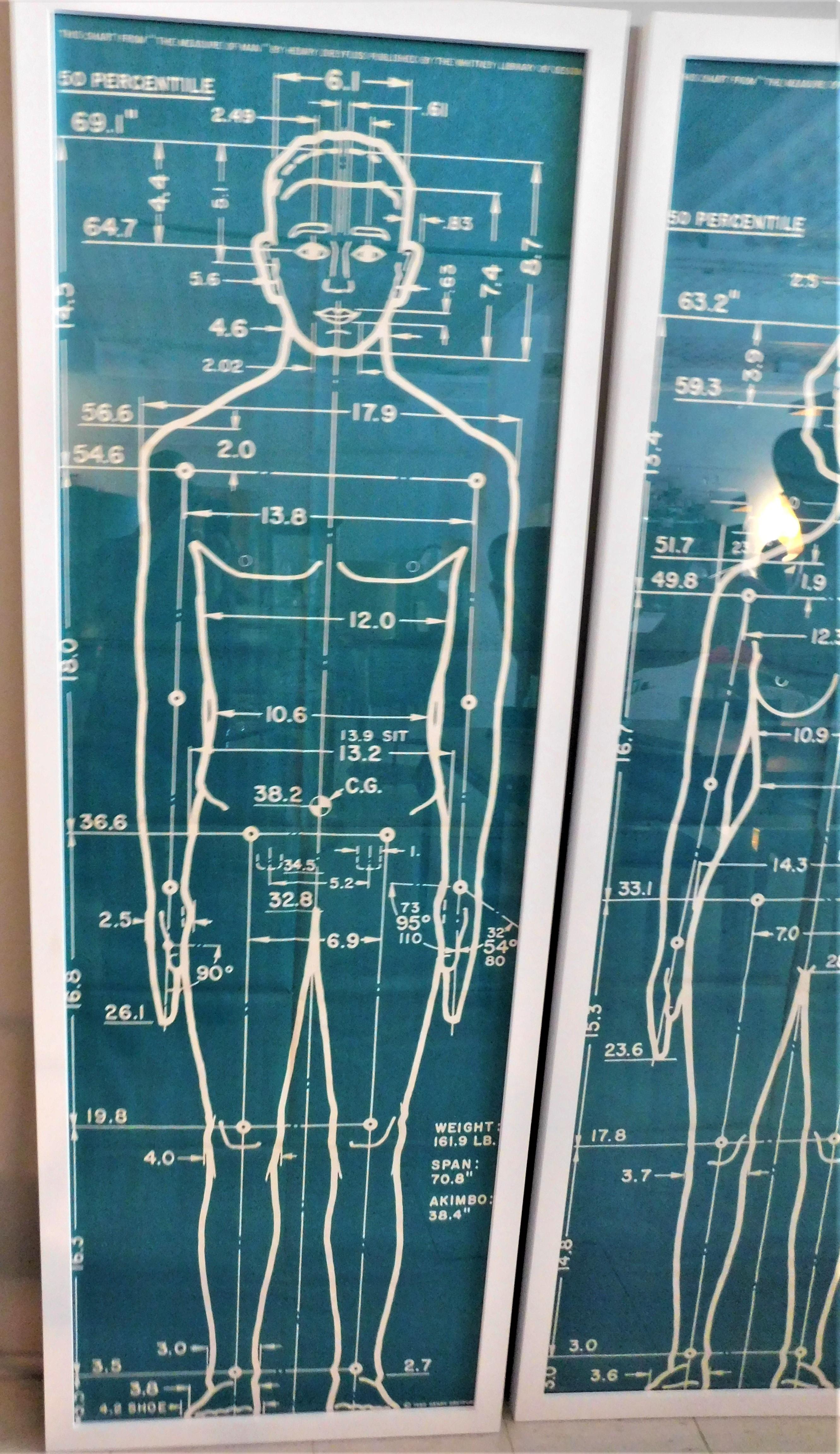 Mid-Century Modern Affiches originales de 1960 « The Measure of Man » Henry Dreyfuss Library of Design