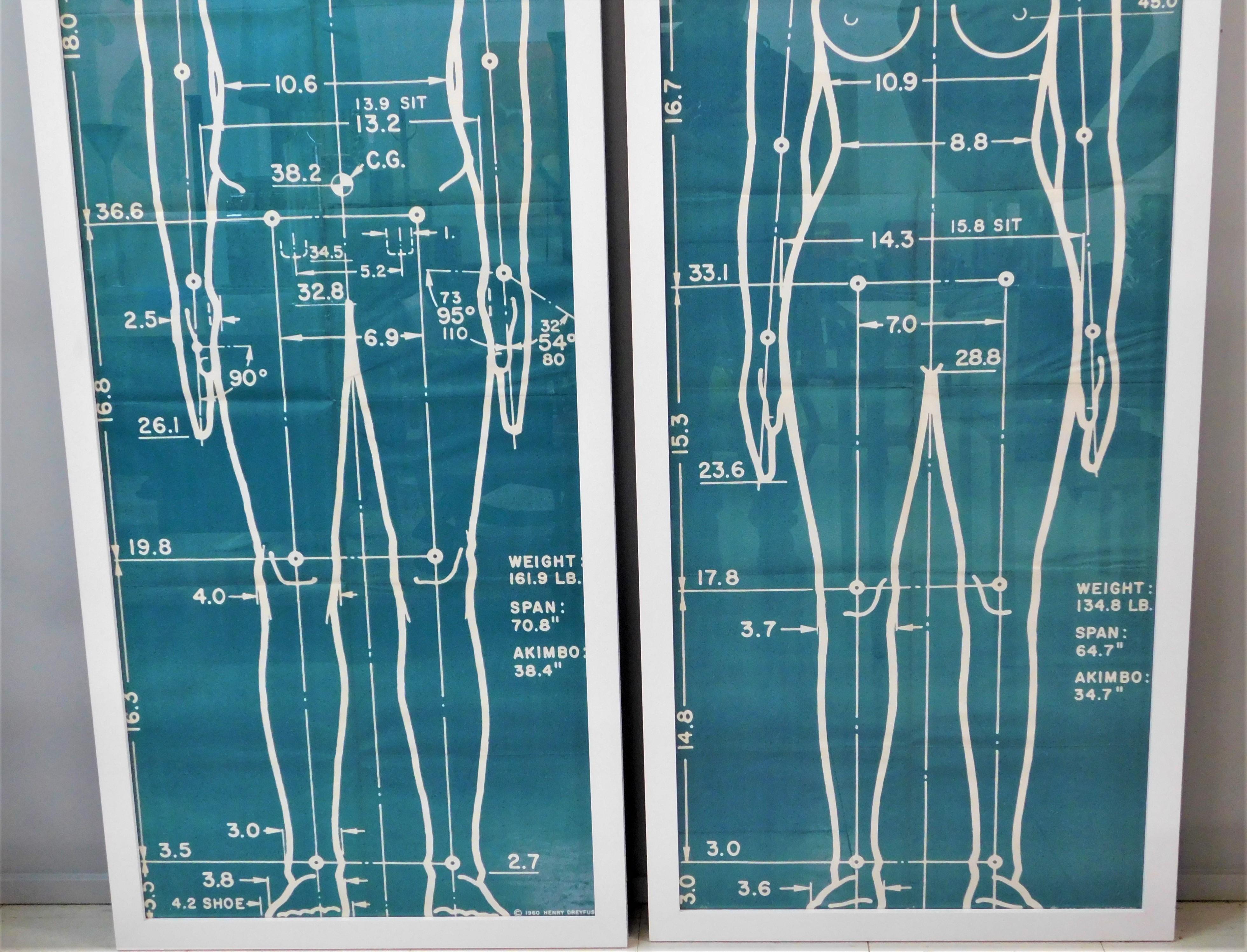 Papier Affiches originales de 1960 « The Measure of Man » Henry Dreyfuss Library of Design