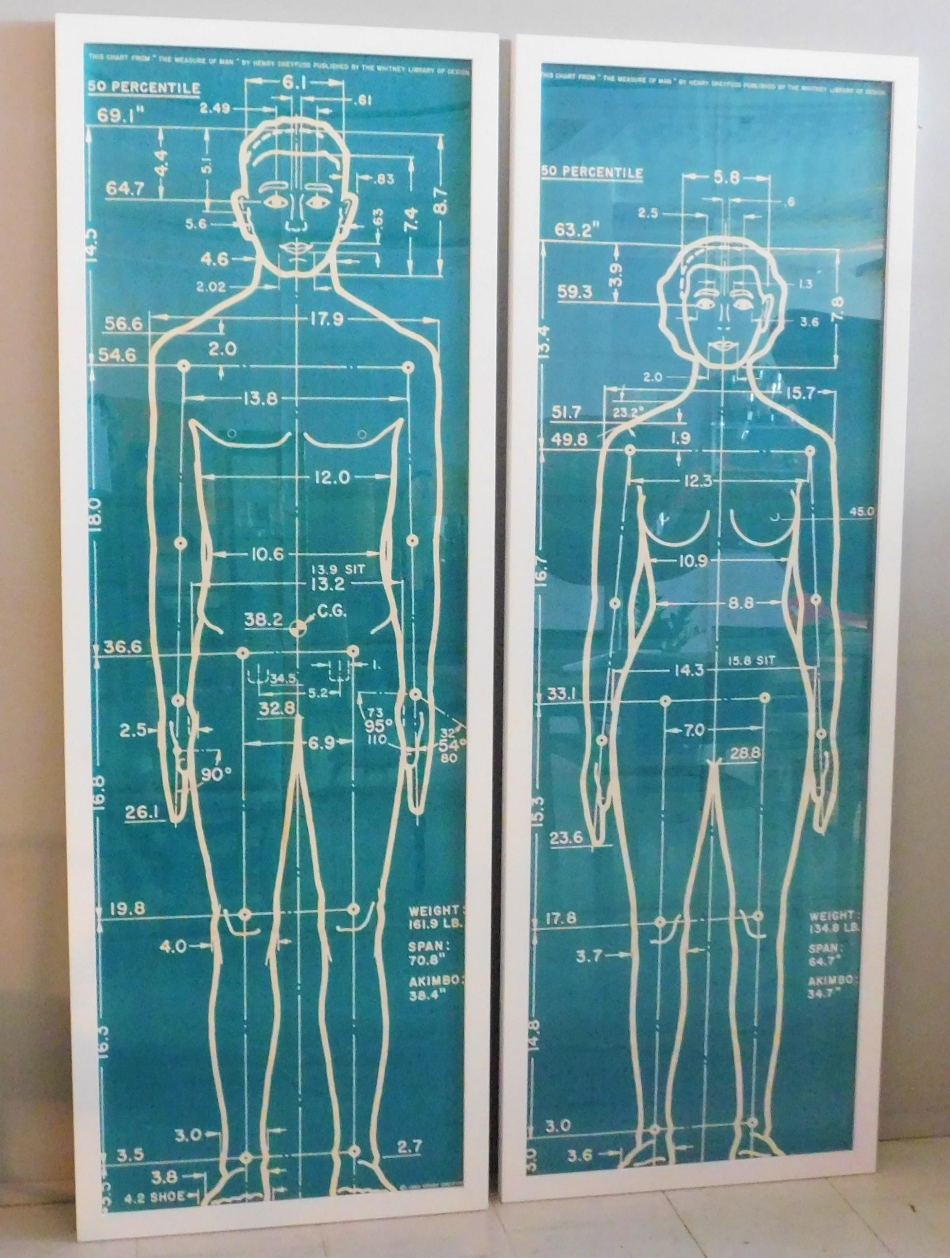 Affiches originales de 1960 « The Measure of Man » Henry Dreyfuss Library of Design 1