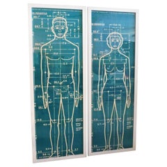 Affiches originales de 1960 « The Measure of Man » Henry Dreyfuss Library of Design