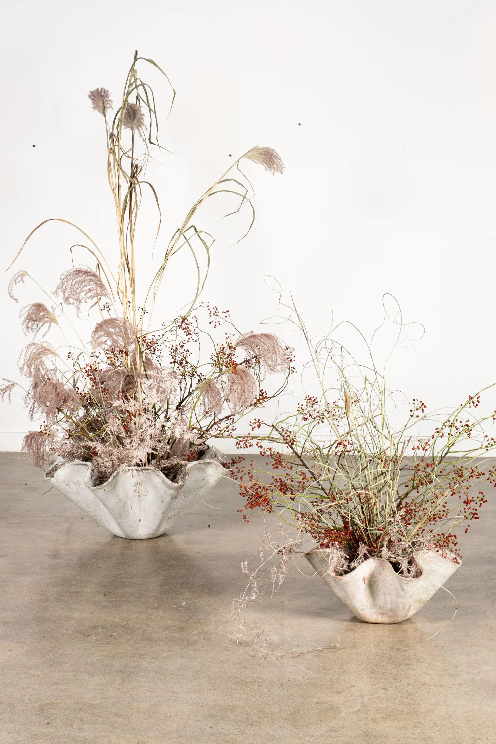 Original 1960s Clamshell Planter by Willy Guhl 1