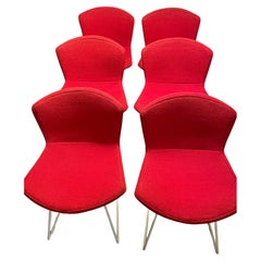 Ensemble original de six chaises d'appoint Harry Bertoia des années 1960 avec revêtements d'assise complets