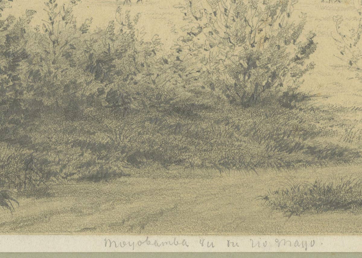 Original 19th Century Pencil Drawing of Moyobamba, Peru, ca.1850