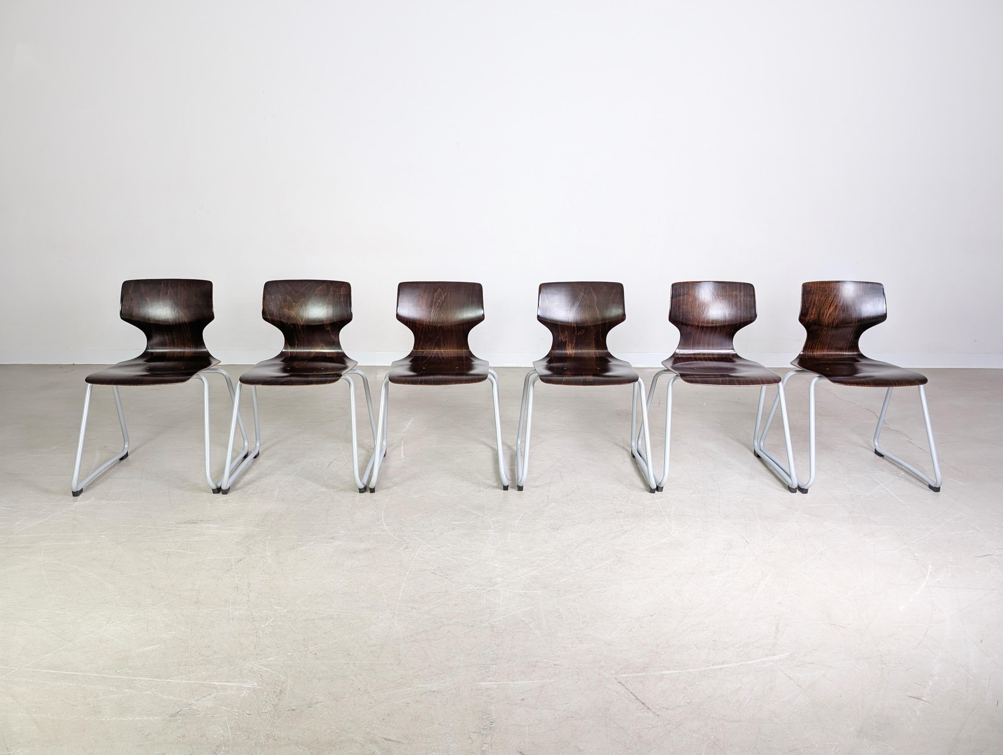 Nous vous proposons deux des deux superbes séries de 6 agrafes pour le paiement. Les stühle ont été conçus par Adams Stegner et les systèmes d'intégration de l'ASS ont été mis en place. Au total, 12 pièces sont proposées à la vente, le prix étant