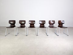 Original 6er Set Adam Stegner Midcentury Pagholzstühle Stuhl ASS