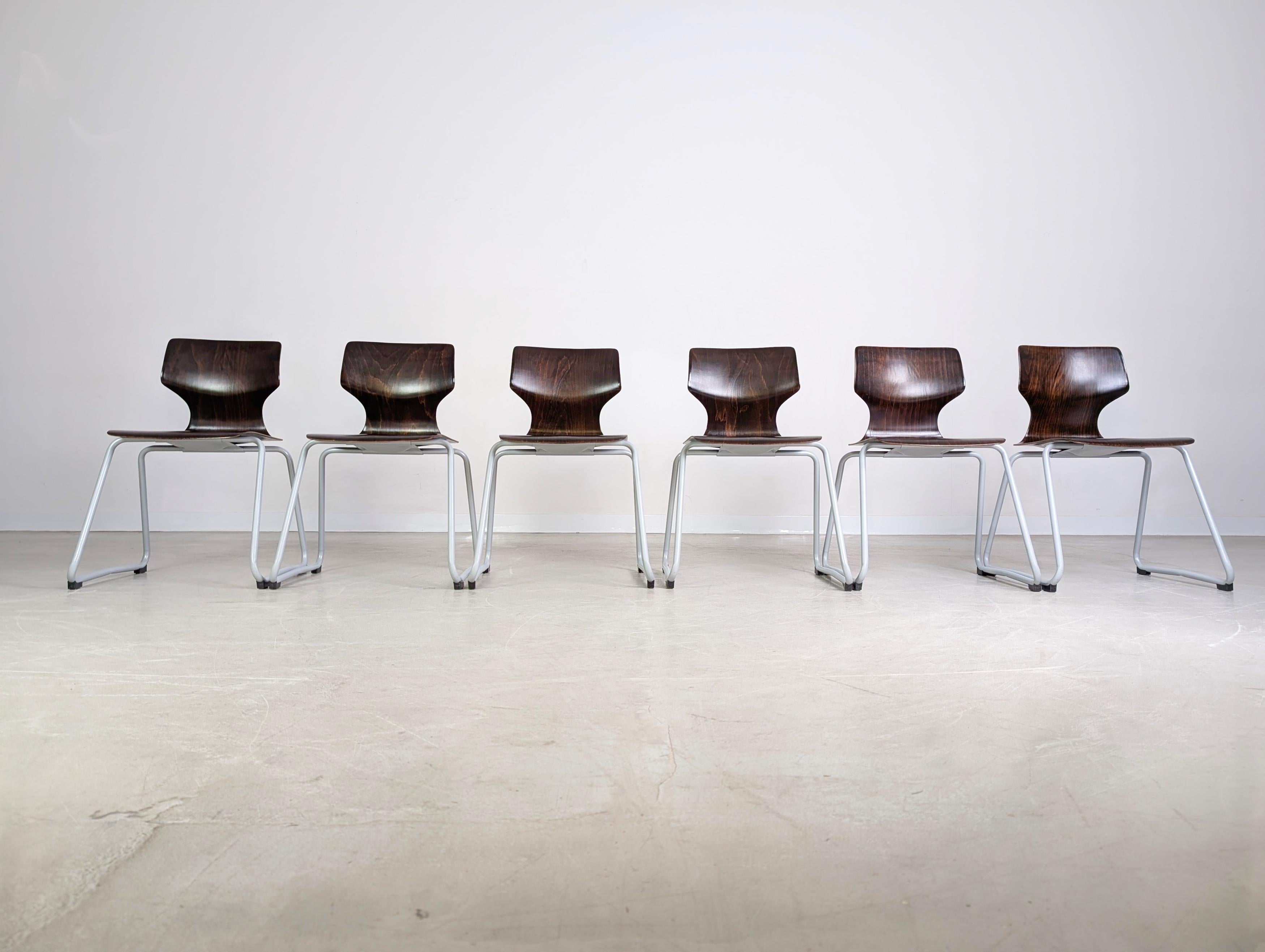 Mid-Century Modern Original 6er Set Adam Stegner Midcentury Pagholzstühle Stuhl ASS en vente