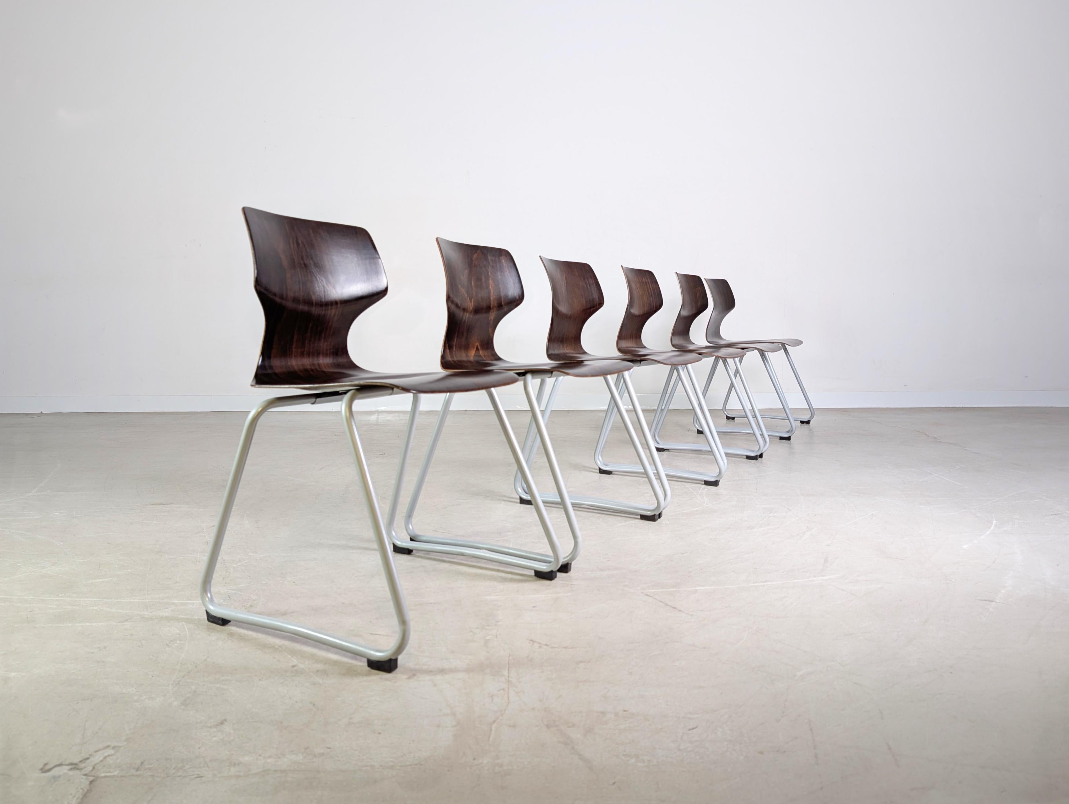 Allemand Original 6er Set Adam Stegner Midcentury Pagholzstühle Stuhl ASS en vente