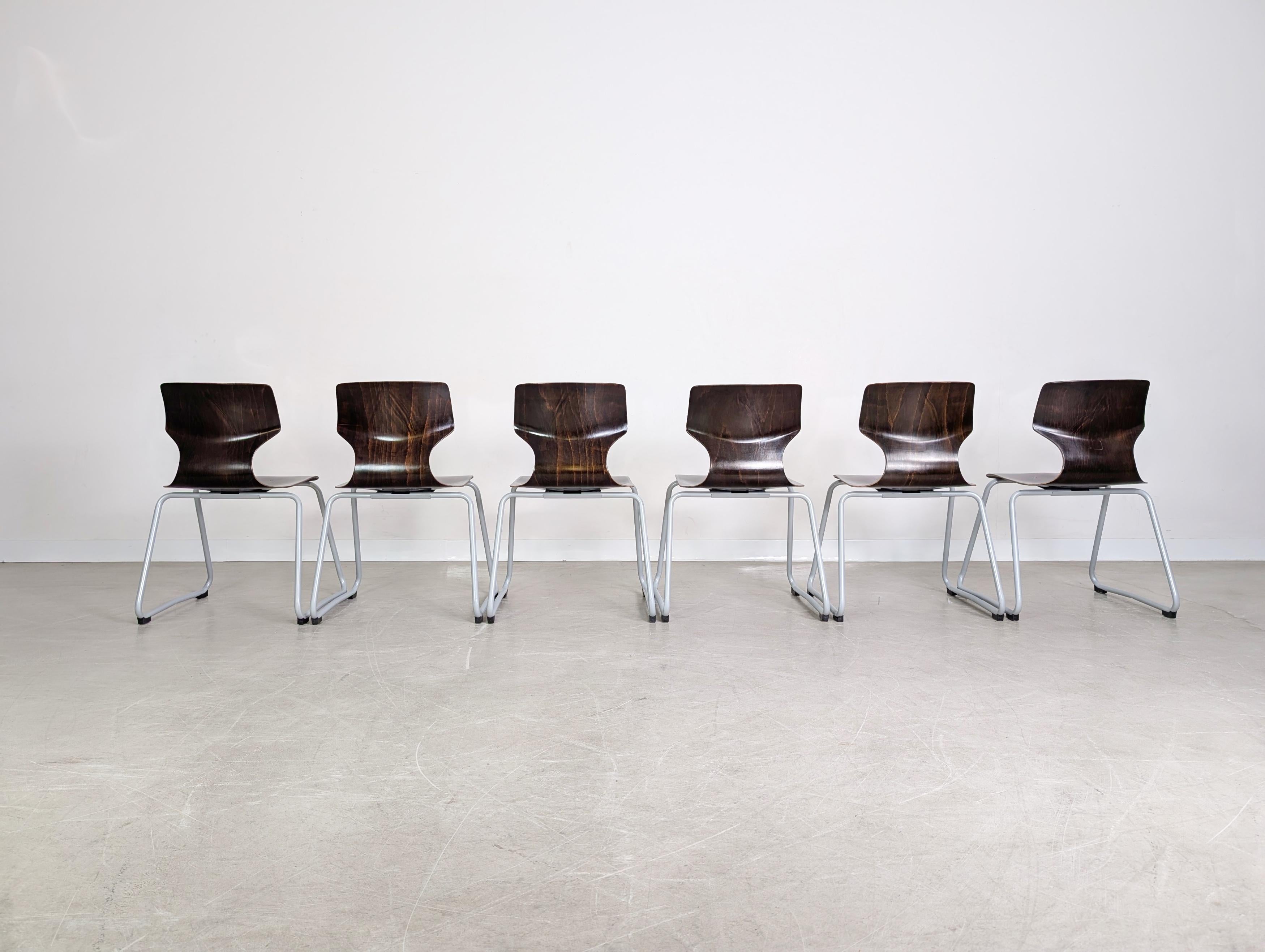 XXIe siècle et contemporain Original 6er Set Adam Stegner Midcentury Pagholzstühle Stuhl ASS en vente