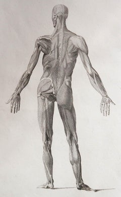 Original Antique Anatomical Print, Dated 1802